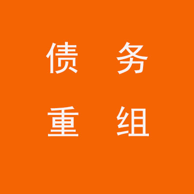 修文个人债务重组优化